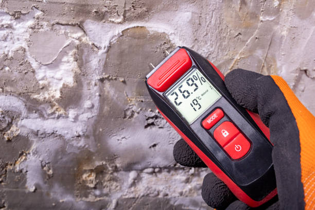 Best Certified Mold Removal  in Wilderness Rim, WA