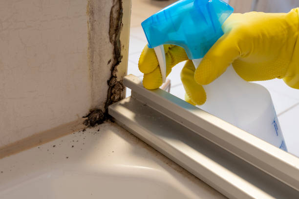 Best Water Damage Restoration  in Wilderness Rim, WA