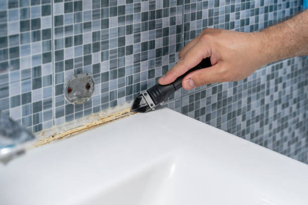 Best Professional Mold Removal  in Wilderness Rim, WA